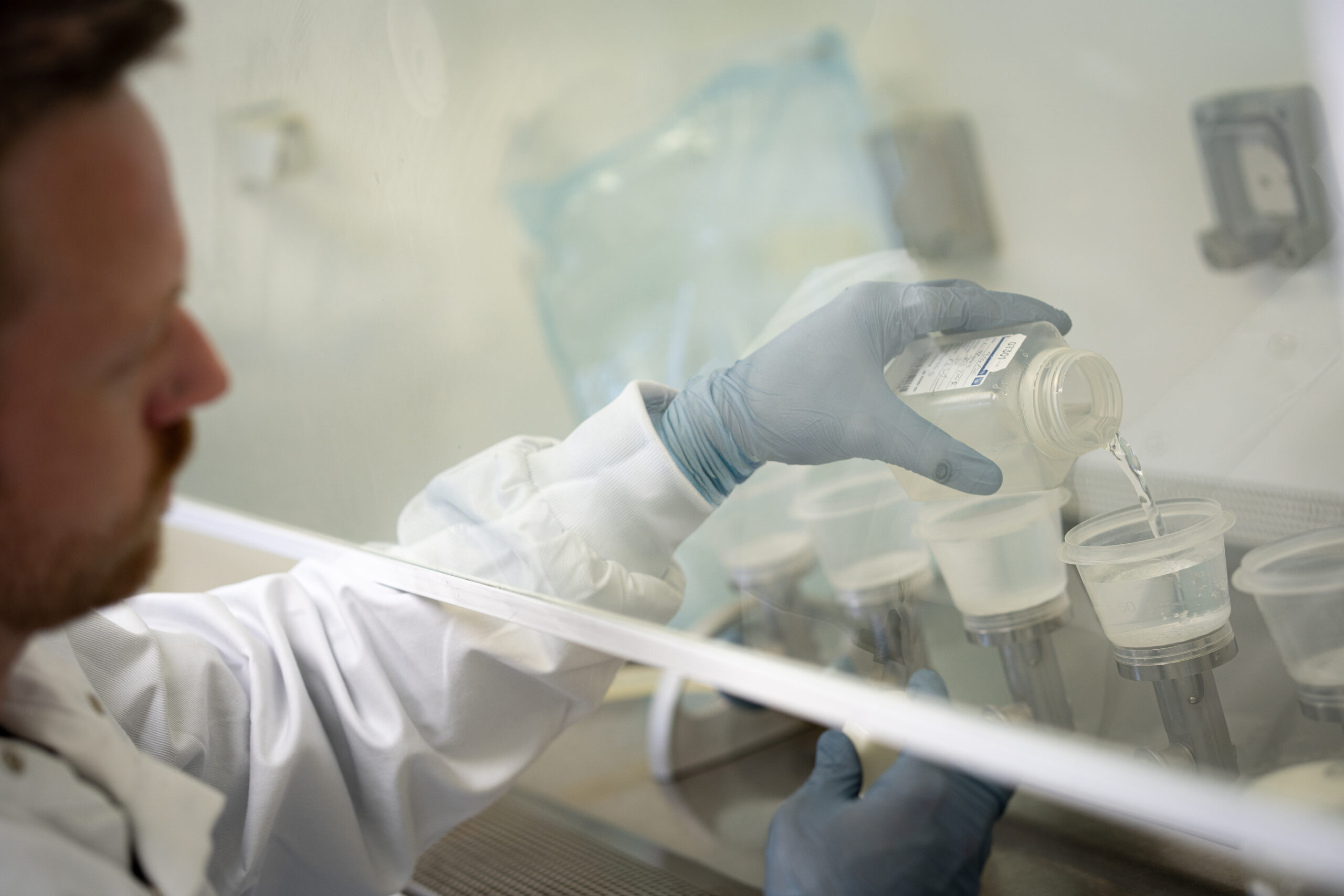 Water sample being processed for microbiological analysis.